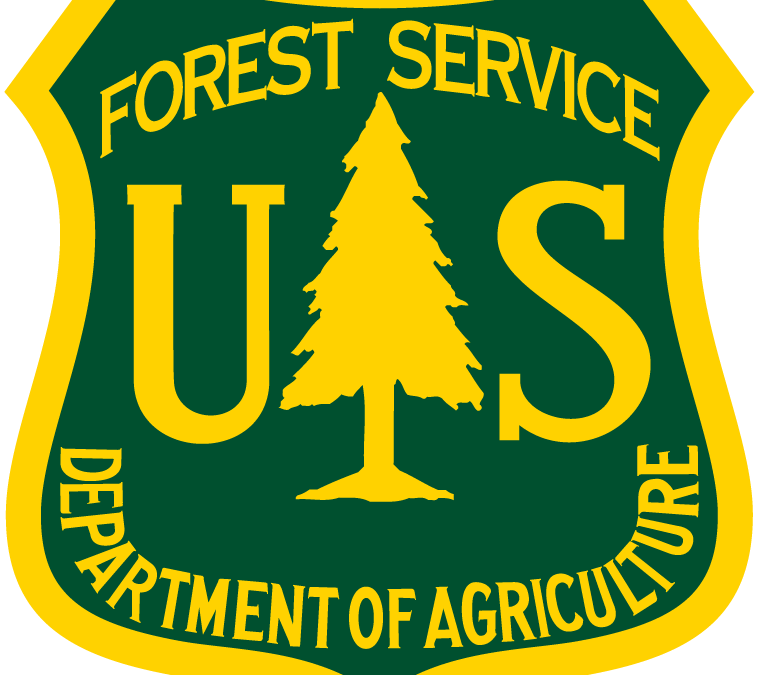 Blue Mountain Forest Land Management Plan Revision-DEIS